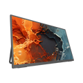 OSIRIS First Dual Mode Monitor